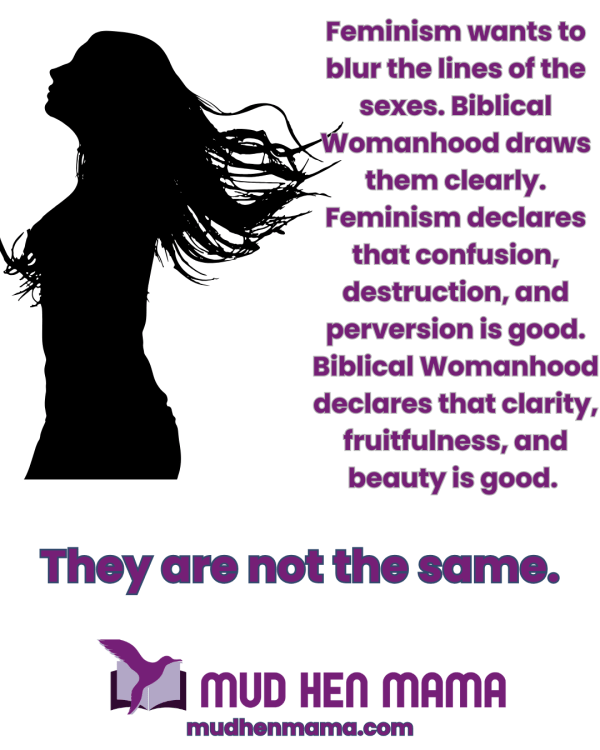 Is Biblical Womanhood at odds with Feminism?