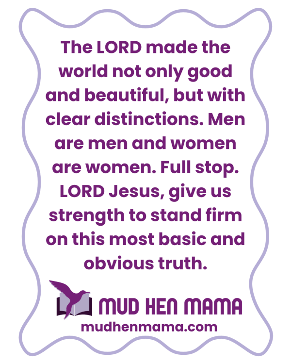 We serve a God of order and distinctions